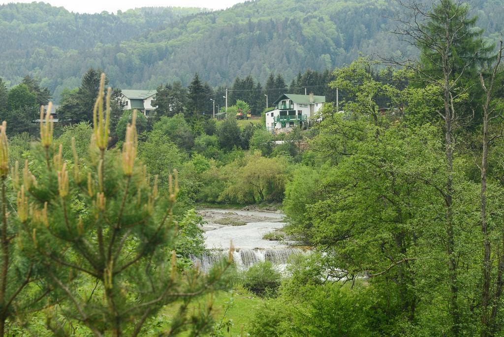 Vila Horia Bradet Hotel Sacele Bagian luar foto